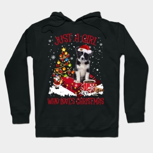 Border Collie Just A Girl Who Loves Christmas Hoodie